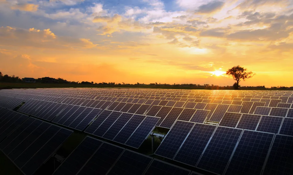 Experience True Rejuvenation Through Authentic Ayurveda Treatment in Udaipur